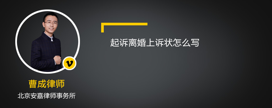 起诉离婚上诉状怎么写