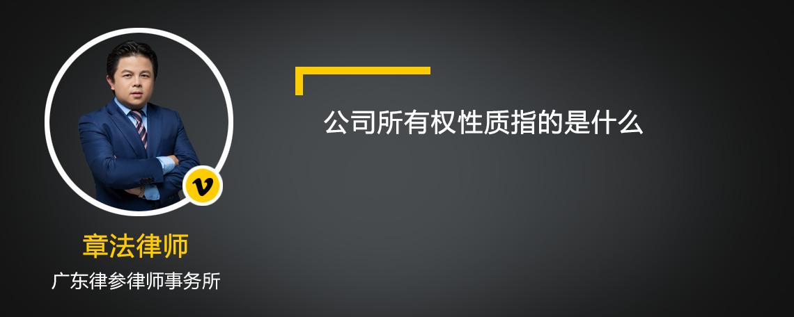 公司所有权性质指的是什么