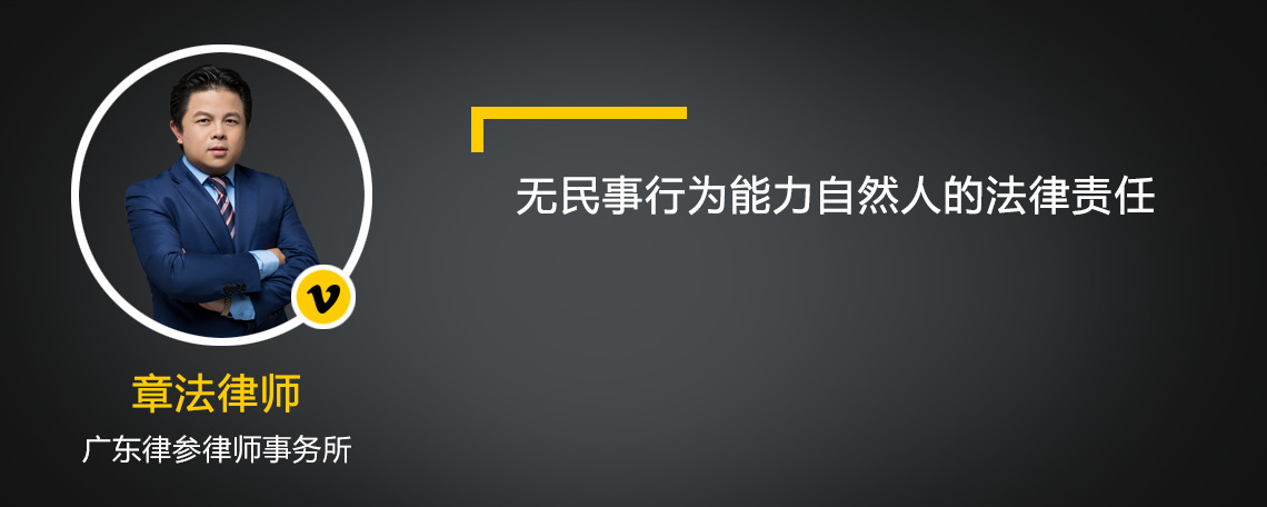 无民事行为能力自然人的法律责任