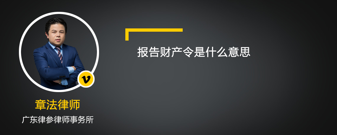 报告财产令是什么意思