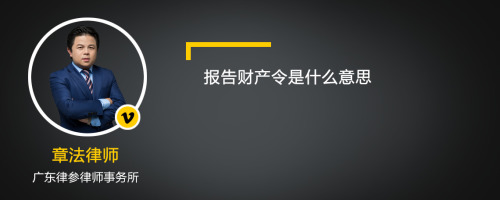 报告财产令是什么意思