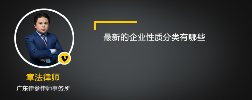 最新的企业性质分类有哪些