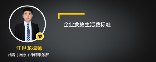 企业发放生活费标准