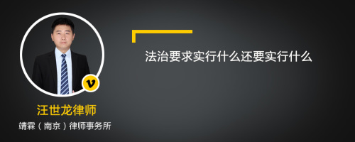 法治要求实行什么还要实行什么