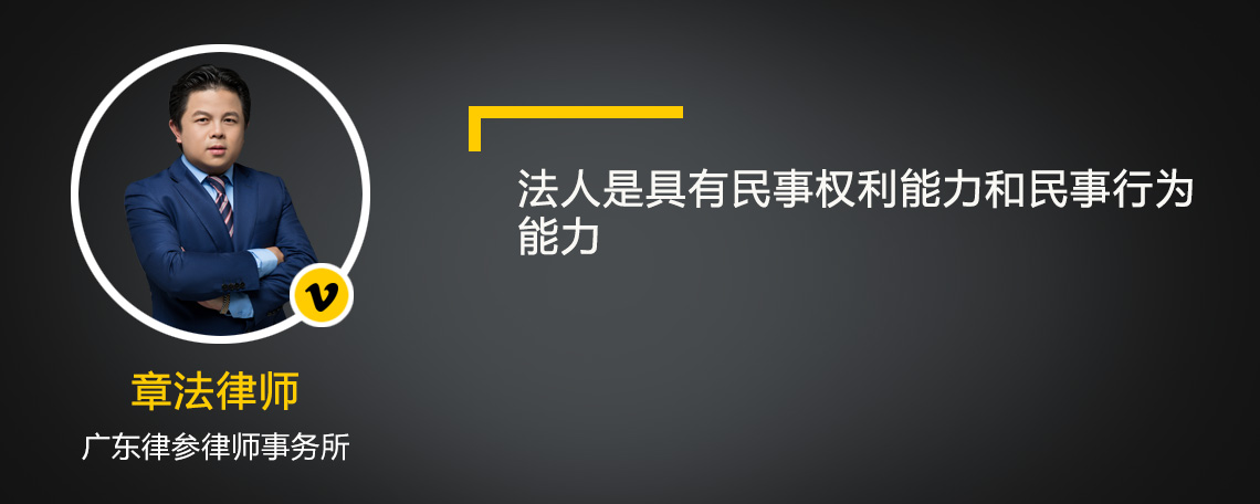 法人是具有民事权利能力和民事行为能力