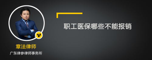 职工医保哪些不能报销