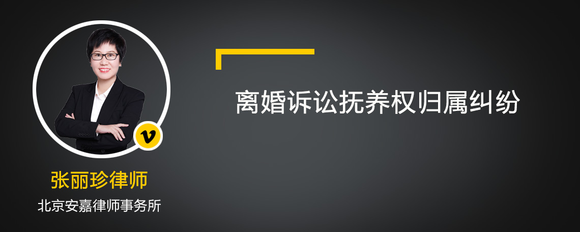 离婚诉讼抚养权归属纠纷