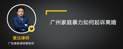 广州家庭暴力如何起诉离婚