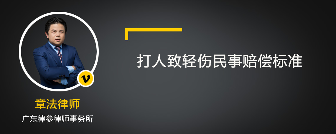 打人致轻伤民事赔偿标准