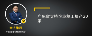 广东省支持企业复工复产20条