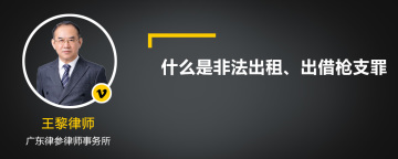 什么是非法出租、出借枪支罪