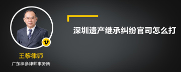 深圳遗产继承纠纷官司怎么打