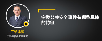 突发公共安全事件有哪些具体的特征