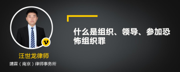 什么是组织、领导、参加恐怖组织罪