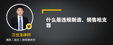 什么是违规制造、销售枪支罪