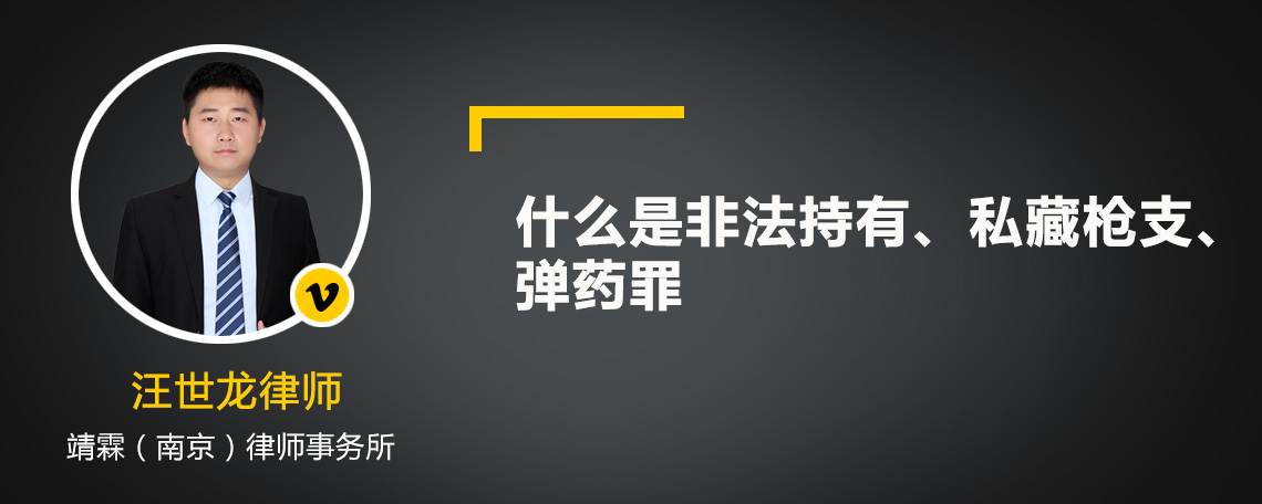 什么是非法持有、私藏枪支、弹药罪