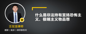 什么是非法持有宣扬恐怖主义、极端主义物品罪