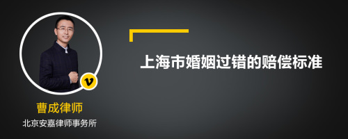 上海市婚姻过错的赔偿标准