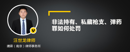 非法持有、私藏枪支、弹药罪如何处罚