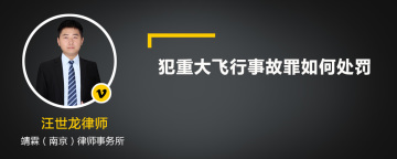 犯重大飞行事故罪如何处罚