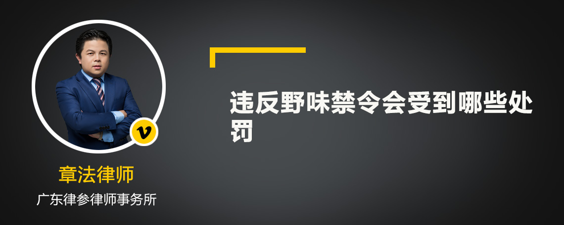 违反野味禁令会受到哪些处罚