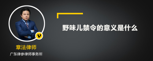 野味儿禁令的意义是什么