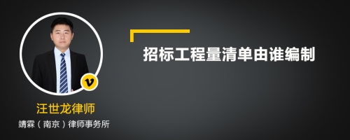 招标工程量清单由谁编制