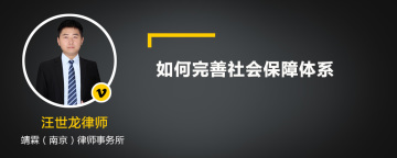 如何完善社会保障体系