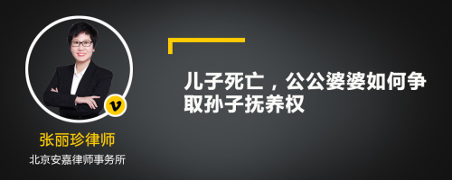 儿子死亡，公公婆婆如何争取孙子抚养权