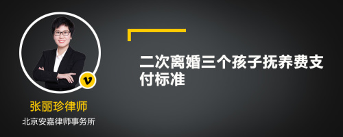 二次离婚三个孩子抚养费支付标准