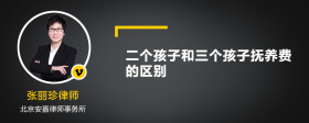 二个孩子和三个孩子抚养费的区别