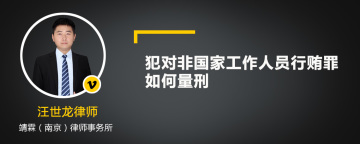 犯对非国家工作人员行贿罪如何量刑