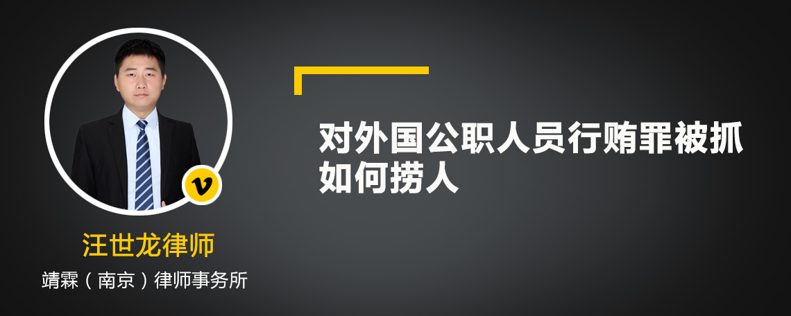 对外国公职人员行贿罪被抓如何捞人