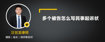 多个被告怎么写民事起诉状