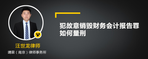 犯故意销毁财务会计报告罪如何量刑