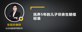 抚养5年的儿子非亲生赔偿标准