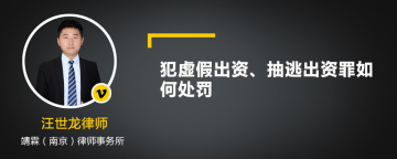 犯虚假出资、抽逃出资罪如何处罚