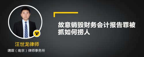 故意销毁财务会计报告罪被抓如何捞人