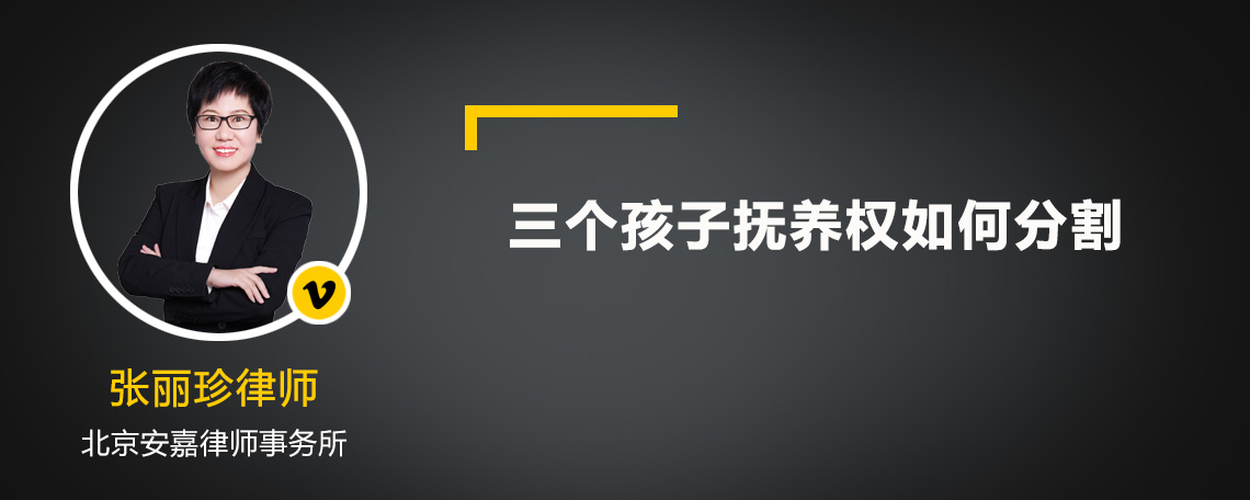 三个孩子抚养权如何分割