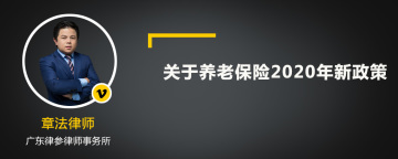 关于养老保险2020年新政策