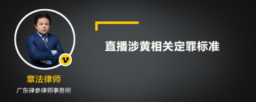 直播涉黄相关定罪标准