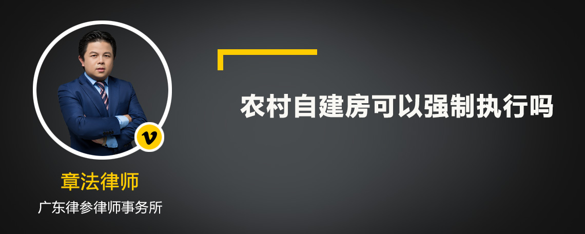 农村自建房可以强制执行吗