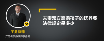 夫妻双方离婚孩子的抚养费法律规定是多少