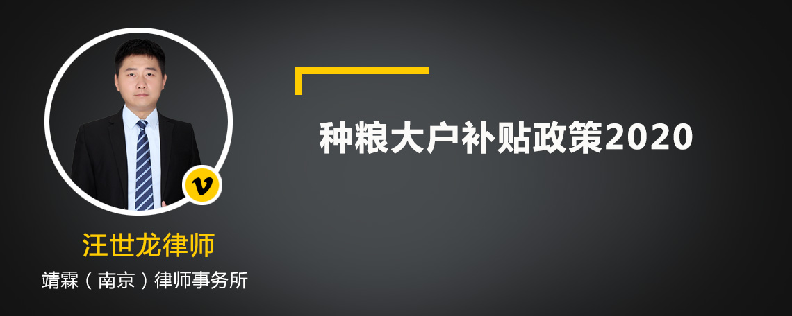 种粮大户补贴政策2020