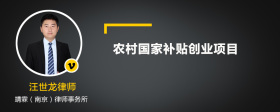 农村国家补贴创业项目