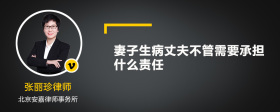 妻子生病丈夫不管需要承担什么责任