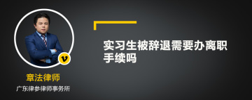 实习生被辞退需要办离职手续吗