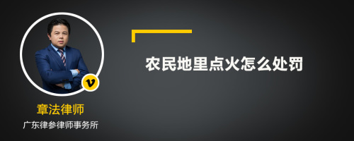 农民地里点火怎么处罚