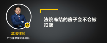 法院冻结的房子会不会被拍卖