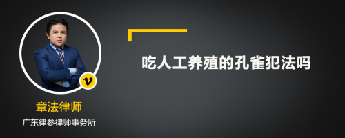 吃人工养殖的孔雀犯法吗